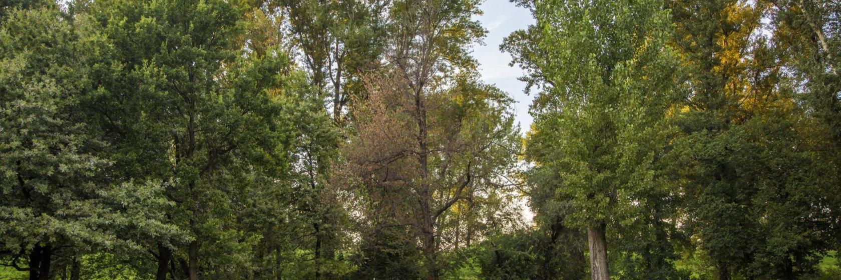 Klub golfowy Le Touquet